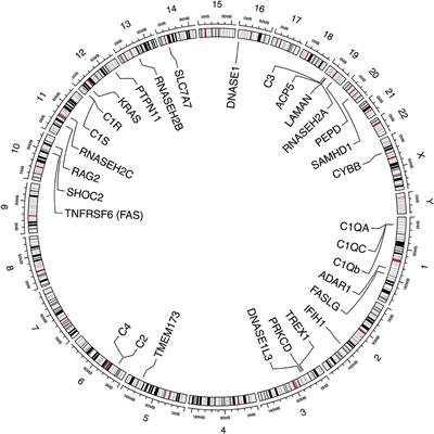 Monogenic Lupus: A Developing Paradigm of Disease